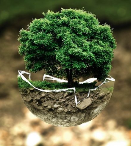écologie