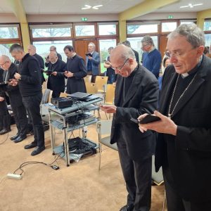 Session 2026 Des Conseils Episcopaux 1 300x300