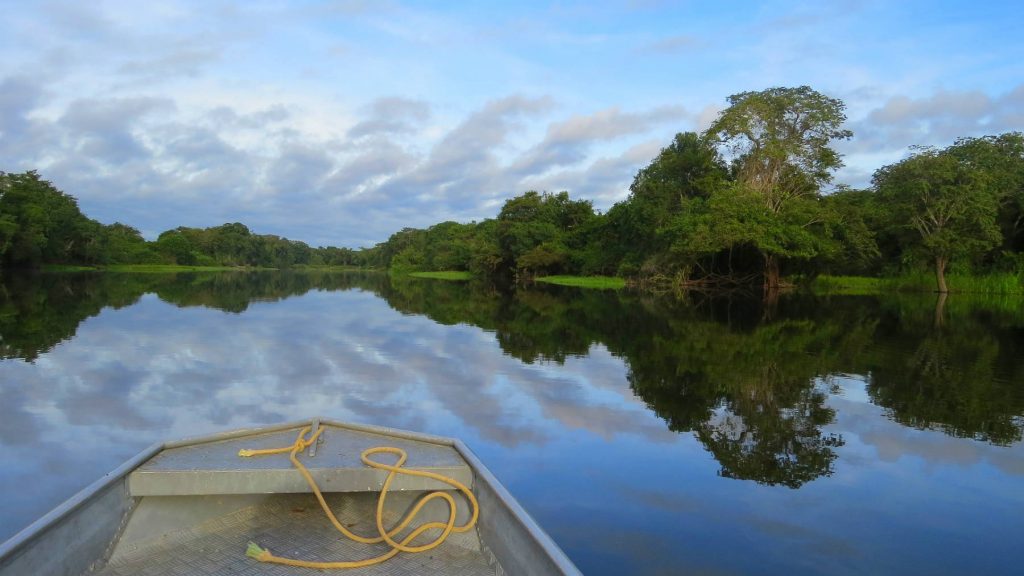 Amazonie
